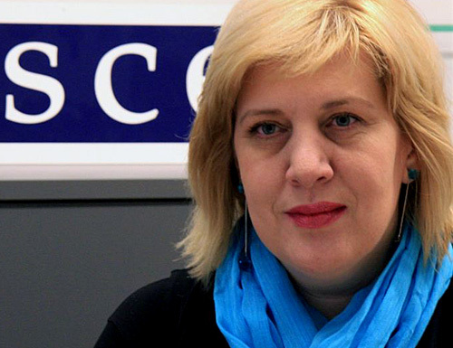 ОБСЕ обеспокоены ущемлением прав СМИ