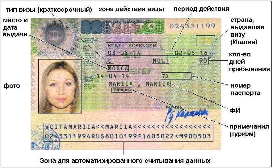 Структура шенгенской визы